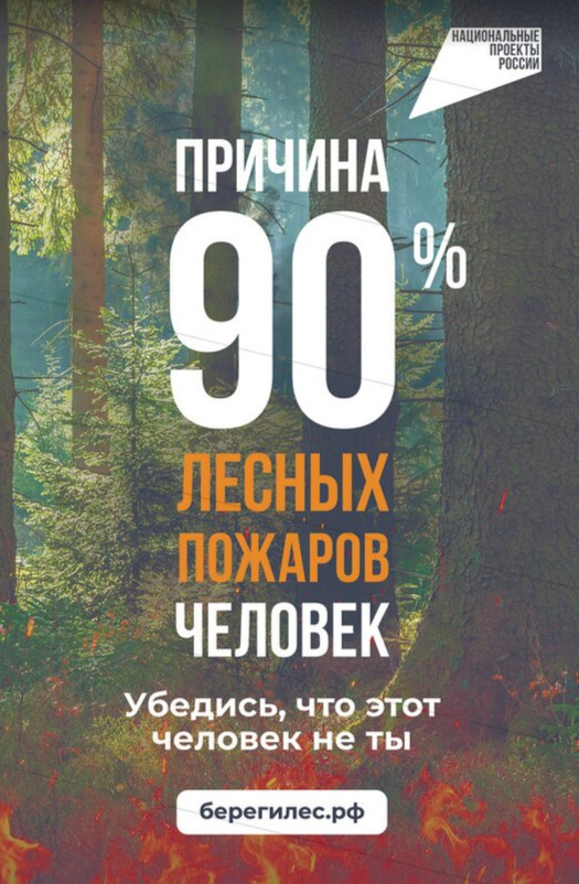 берегилес.рф.