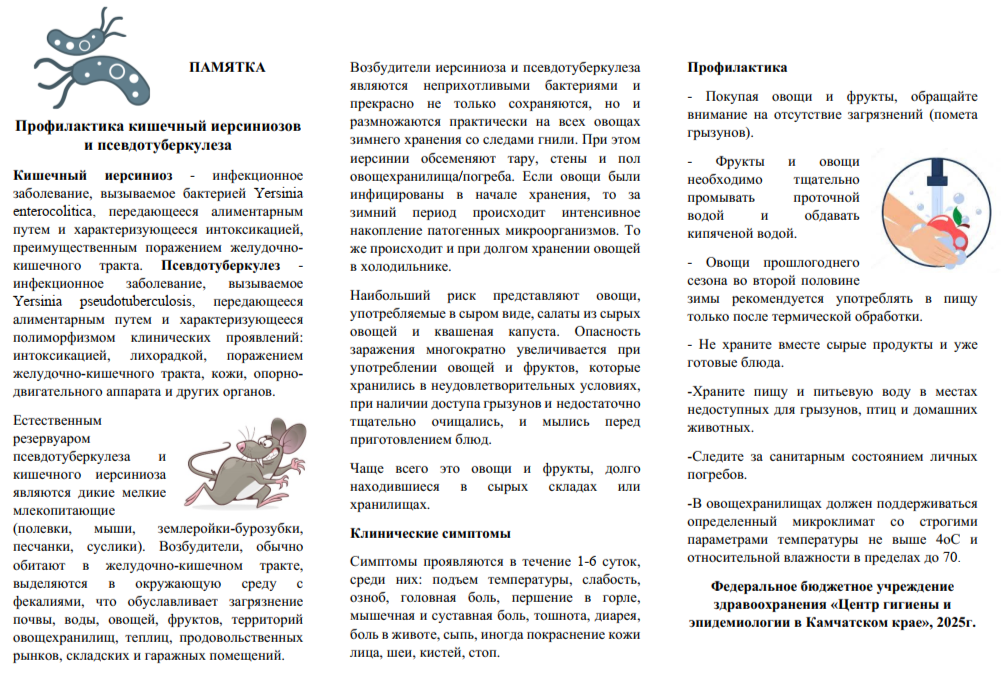 Внимание! Профилактика кишечный иерсиниозов и псевдотуберкулеза..