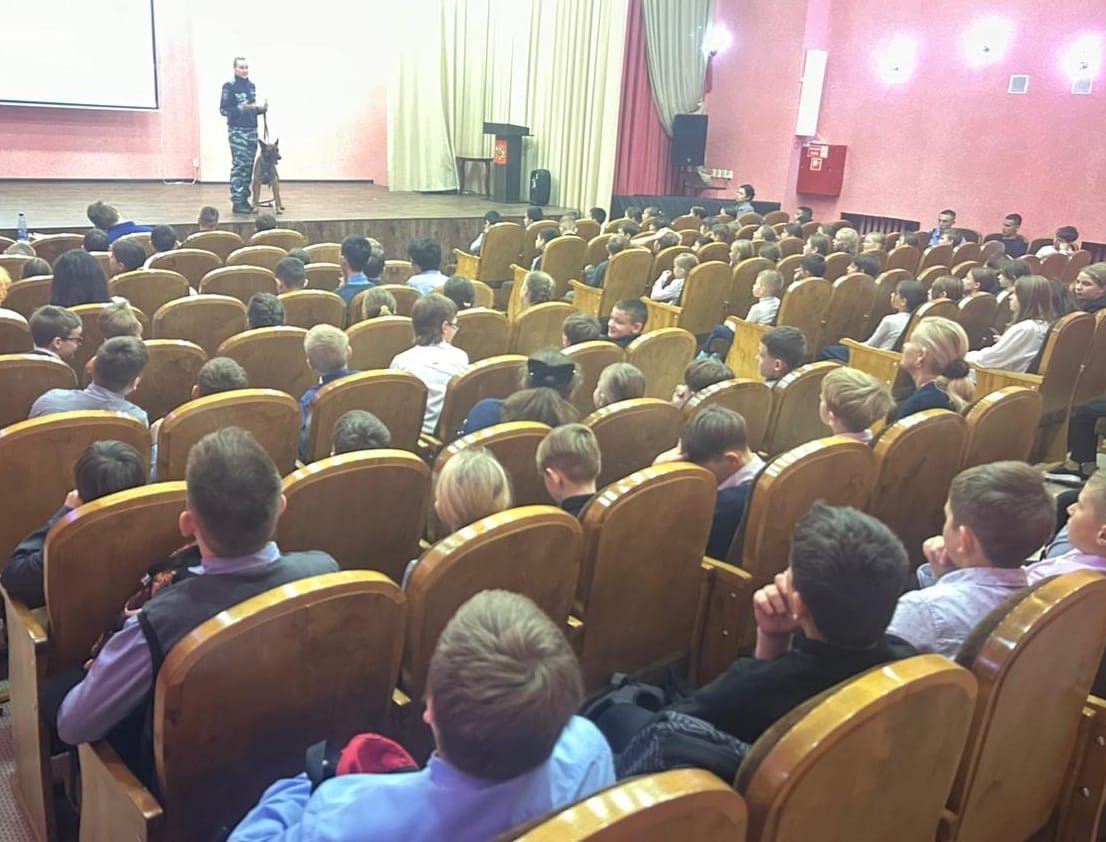 Профилактика ПАВ.